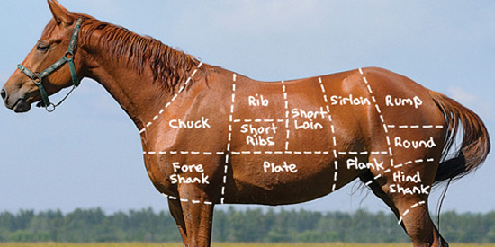 La verdad sobre la carne de caballo